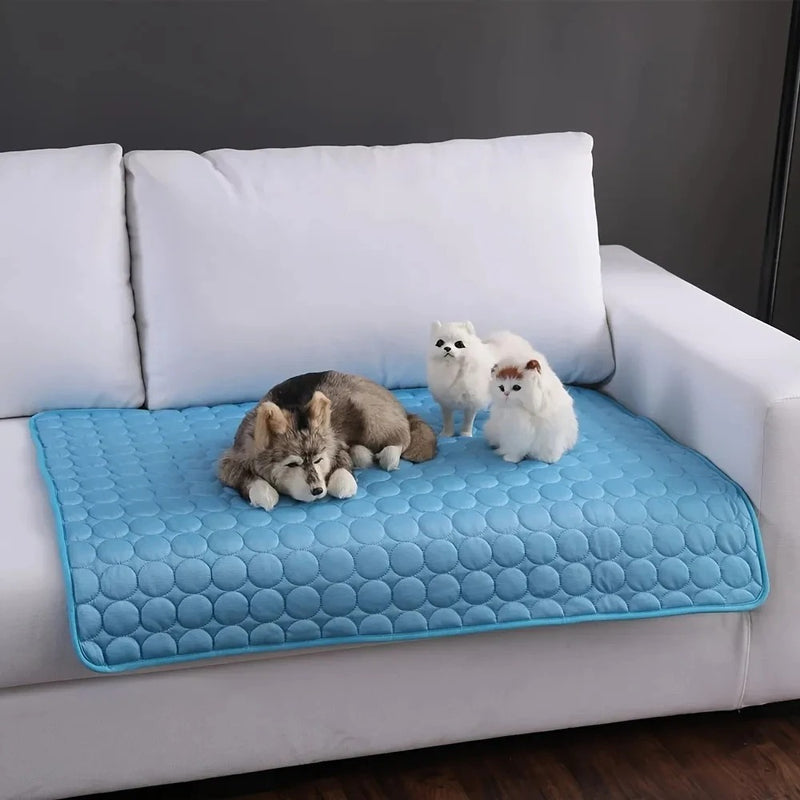 CoolPaw Mat